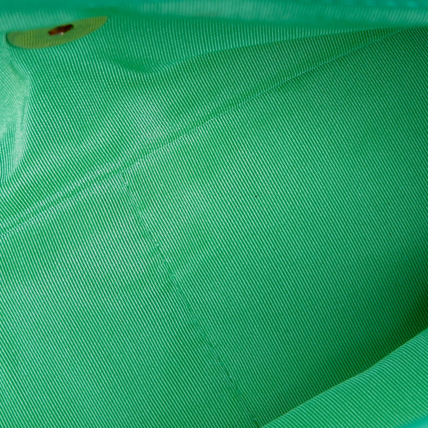 CHANEL 19 Quilted Flap Medium- Light Green