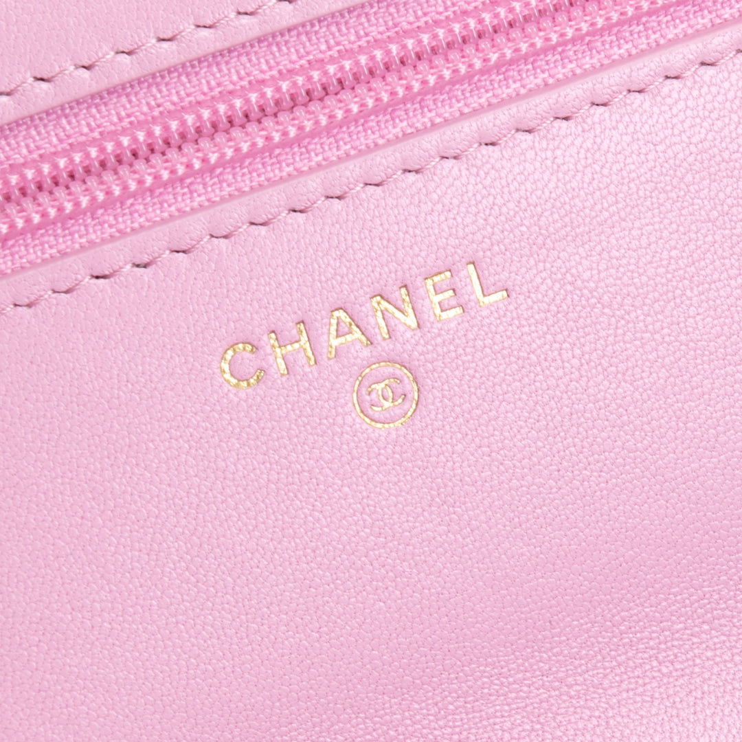 CHANEL 19 Wallet on Chain - Pink